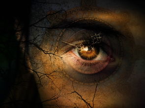 人工代孕拉拉NT检查的最佳时间 人工代孕拉拉NT检查的最佳时间